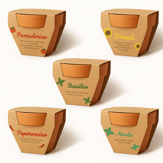 Vasetto in terracotta naturale con torba e capsula biodegradabile contenente semi