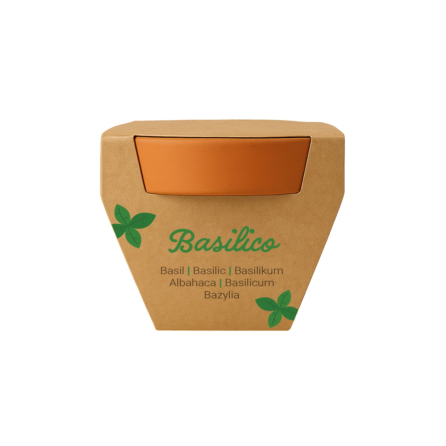 Vasetto in terracotta naturale con torba e capsula biodegradabile contenente semi