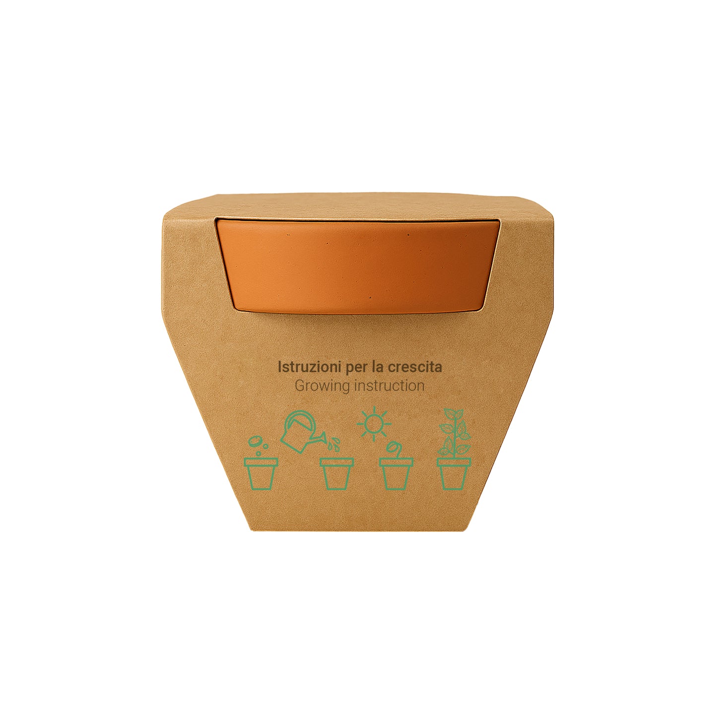 Vasetto in terracotta naturale con torba e capsula biodegradabile contenente semi