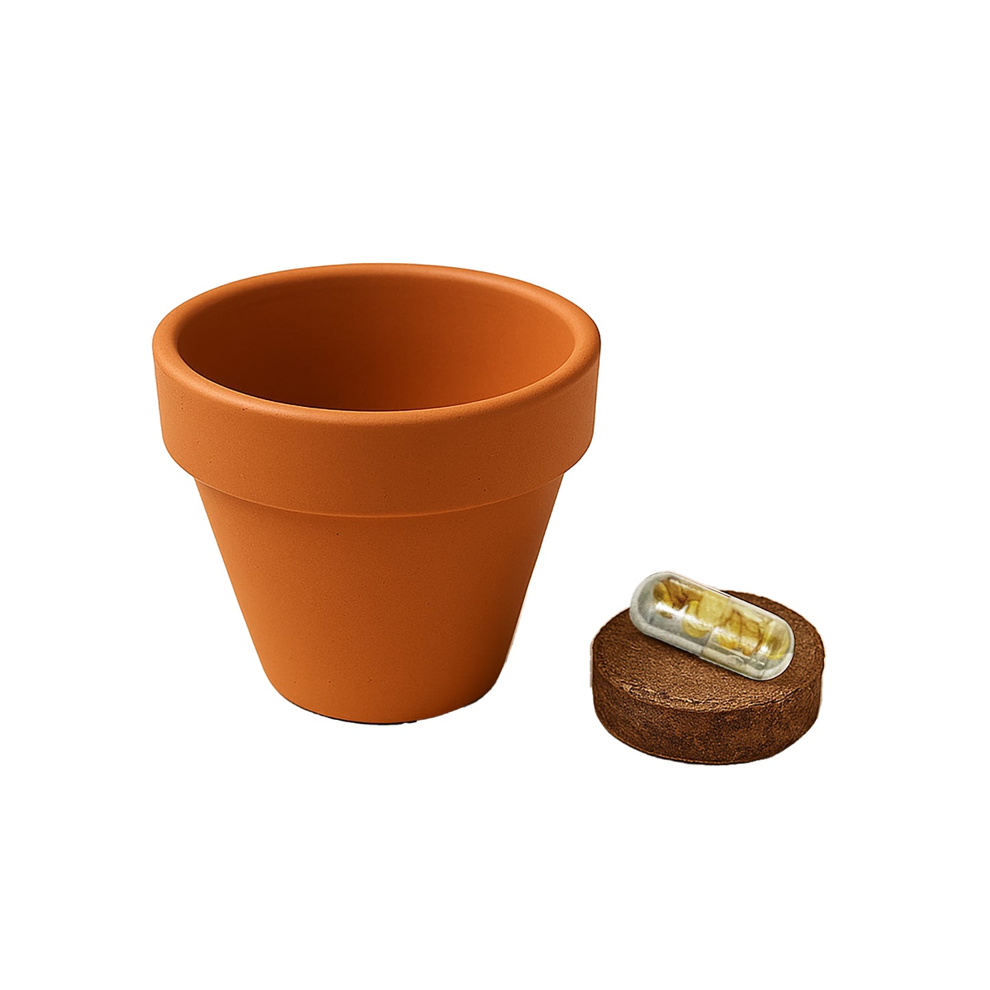 Vasetto in terracotta naturale con torba e capsula biodegradabile contenente semi