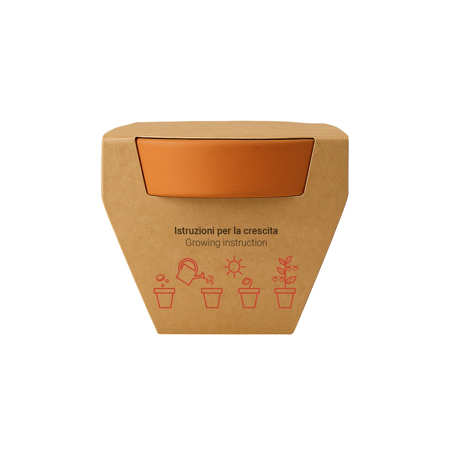 Vasetto in terracotta naturale con torba e capsula biodegradabile contenente semi