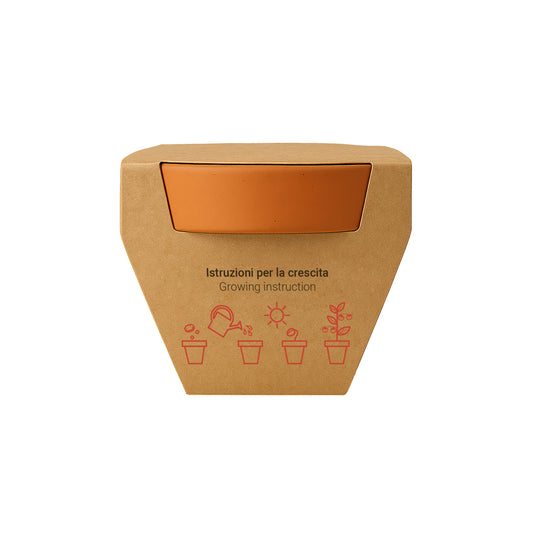 Vasetto in terracotta naturale con torba e capsula biodegradabile contenente semi
