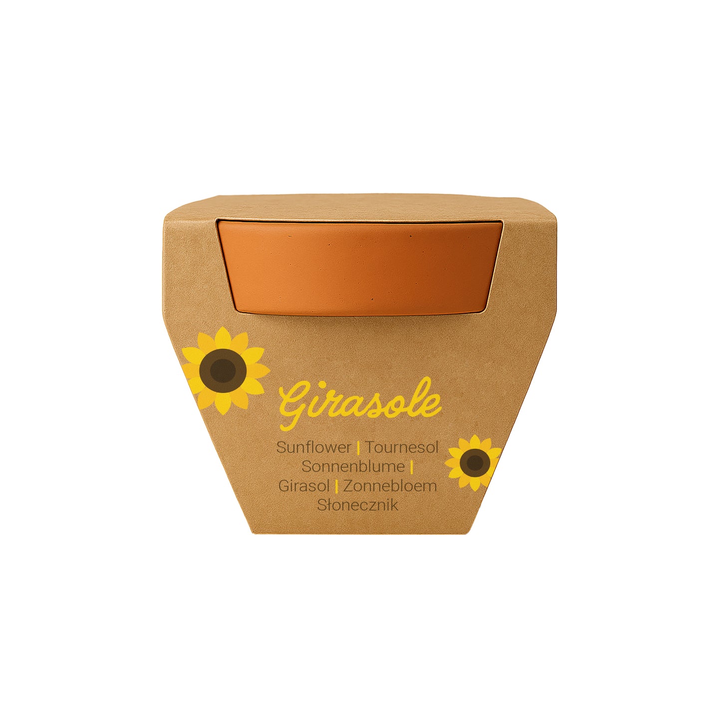 Vasetto in terracotta naturale con torba e capsula biodegradabile contenente semi