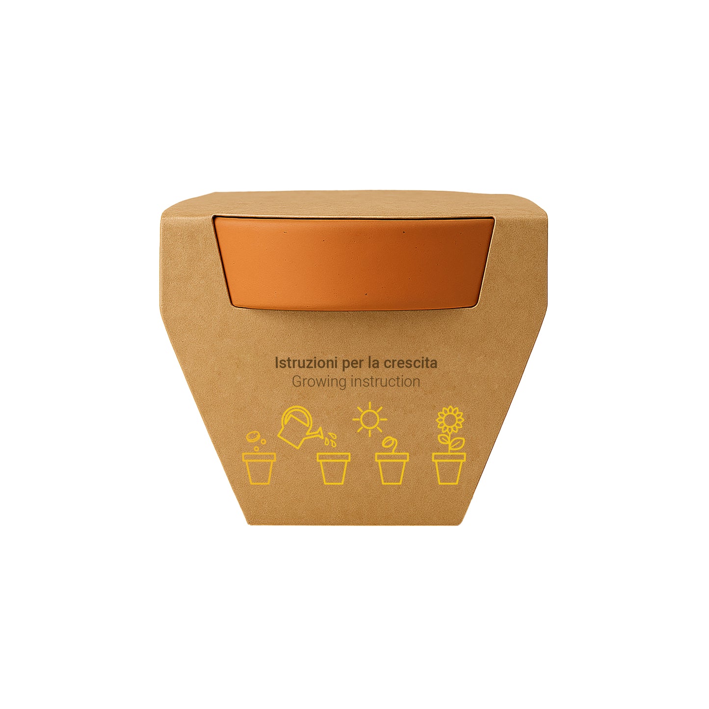 Vasetto in terracotta naturale con torba e capsula biodegradabile contenente semi