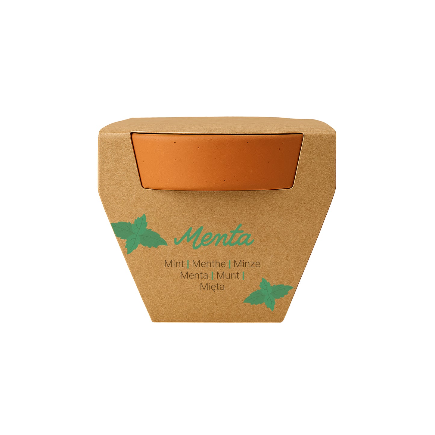 Vasetto in terracotta naturale con torba e capsula biodegradabile contenente semi