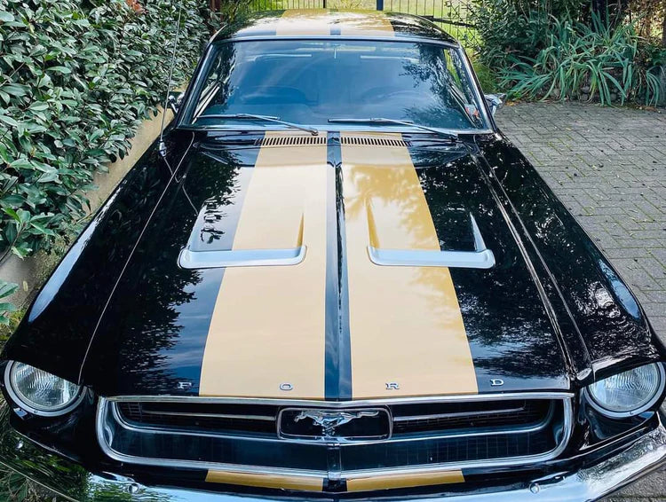 Decorazione Automezzi